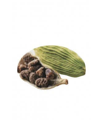 Hancıbey Kakule (Hell) Tane İç Çekirdek 1Kg